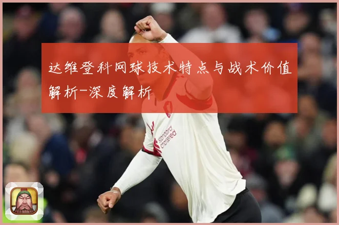 达维登科网球技术特点与战术价值解析-深度解析